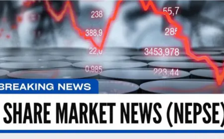 NEPSE Rises by 43 Points to Reach 2,742, Trading Volume Increases