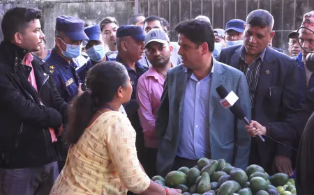 Government to Set Prices for Vegetables and Fruits